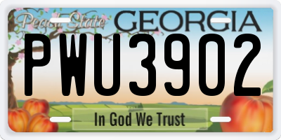 GA license plate PWU3902