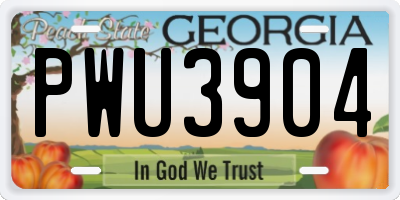 GA license plate PWU3904