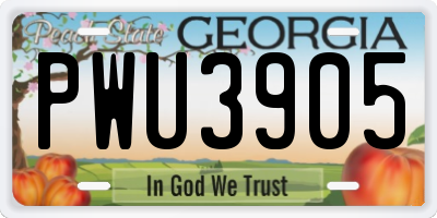 GA license plate PWU3905