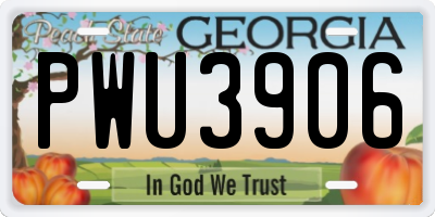 GA license plate PWU3906