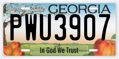 GA license plate PWU3907