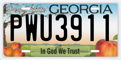 GA license plate PWU3911