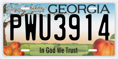 GA license plate PWU3914