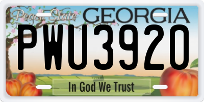 GA license plate PWU3920