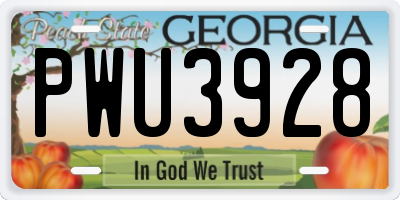 GA license plate PWU3928