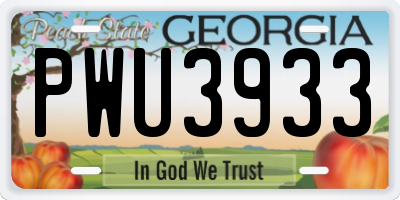 GA license plate PWU3933