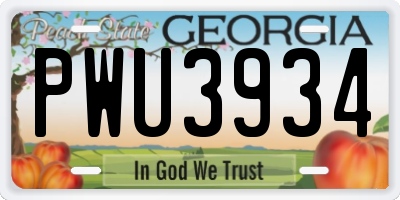 GA license plate PWU3934