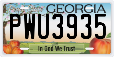GA license plate PWU3935