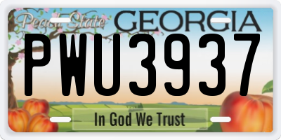 GA license plate PWU3937