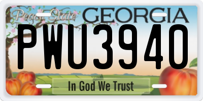 GA license plate PWU3940