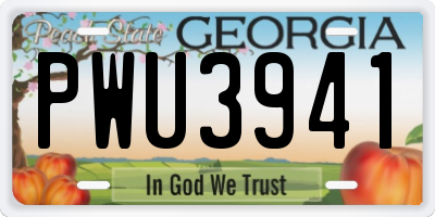 GA license plate PWU3941