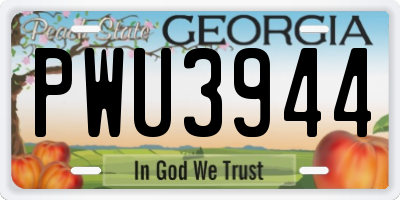 GA license plate PWU3944