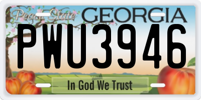 GA license plate PWU3946