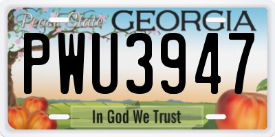 GA license plate PWU3947