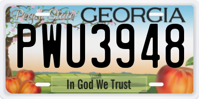 GA license plate PWU3948