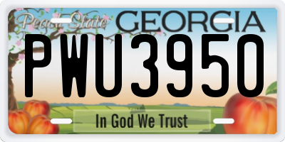 GA license plate PWU3950
