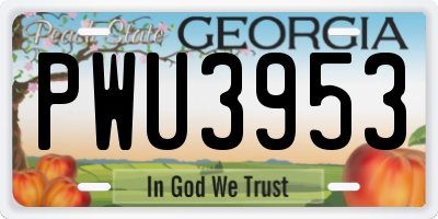 GA license plate PWU3953
