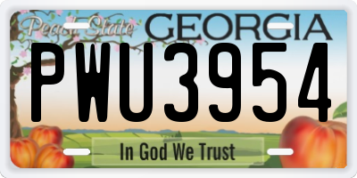 GA license plate PWU3954