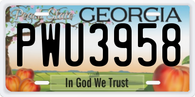 GA license plate PWU3958