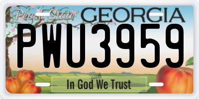 GA license plate PWU3959