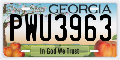GA license plate PWU3963