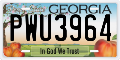 GA license plate PWU3964