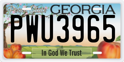 GA license plate PWU3965