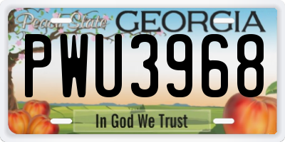 GA license plate PWU3968