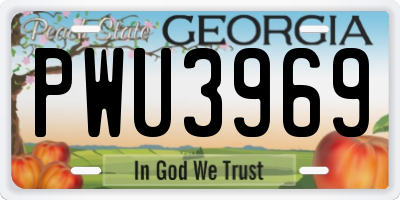 GA license plate PWU3969