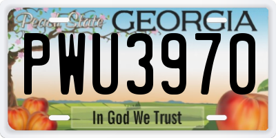 GA license plate PWU3970