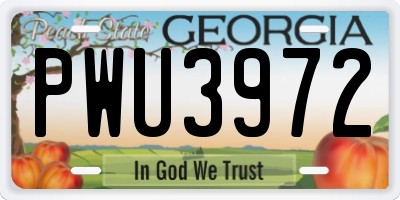 GA license plate PWU3972