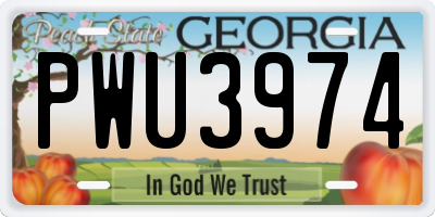 GA license plate PWU3974
