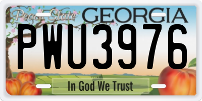 GA license plate PWU3976