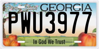 GA license plate PWU3977