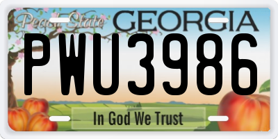 GA license plate PWU3986