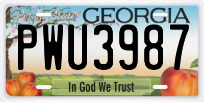 GA license plate PWU3987