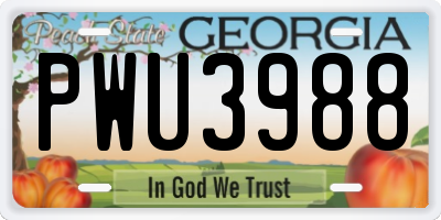 GA license plate PWU3988