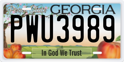 GA license plate PWU3989