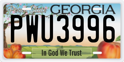 GA license plate PWU3996