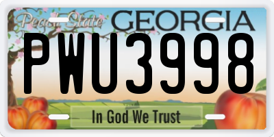GA license plate PWU3998