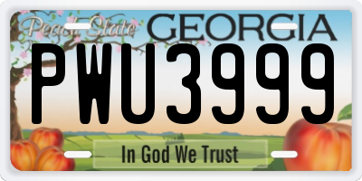 GA license plate PWU3999
