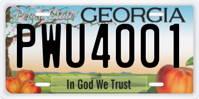 GA license plate PWU4001