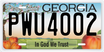 GA license plate PWU4002