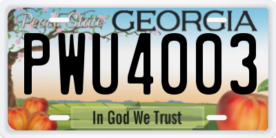 GA license plate PWU4003