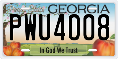 GA license plate PWU4008