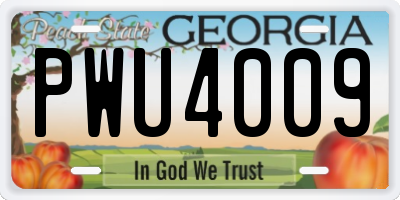 GA license plate PWU4009
