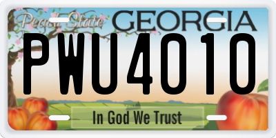 GA license plate PWU4010