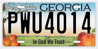 GA license plate PWU4014