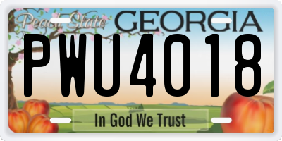 GA license plate PWU4018