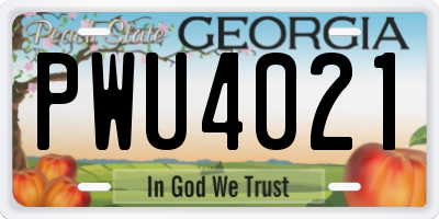 GA license plate PWU4021